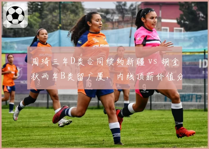 周琦三年D类合同续约新疆 vs 胡金秋两年B类留广厦，内线顶薪价值分化明显