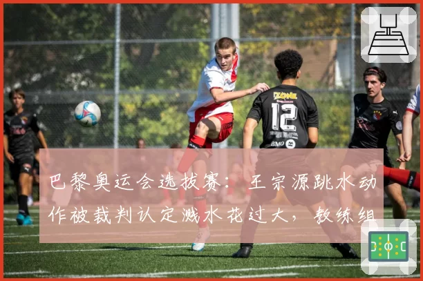 巴黎奥运会选拔赛：王宗源跳水动作被裁判认定溅水花过大，教练组申诉技术细节