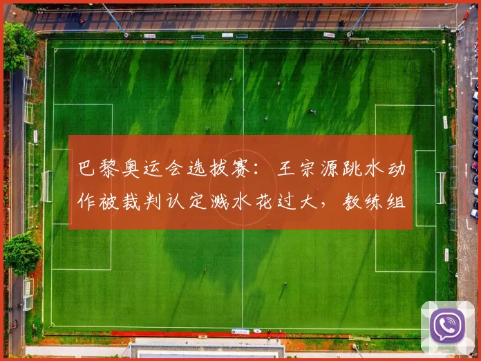 巴黎奥运会选拔赛：王宗源跳水动作被裁判认定溅水花过大，教练组申诉技术细节